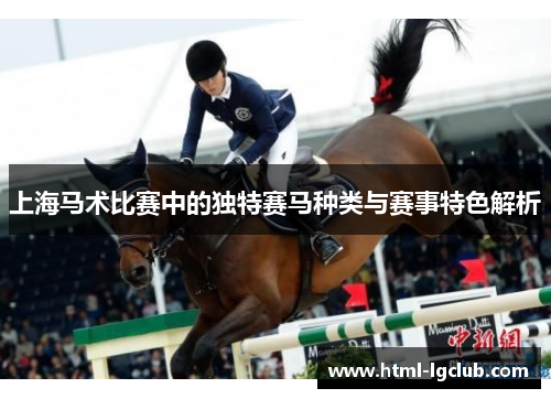 上海马术比赛中的独特赛马种类与赛事特色解析