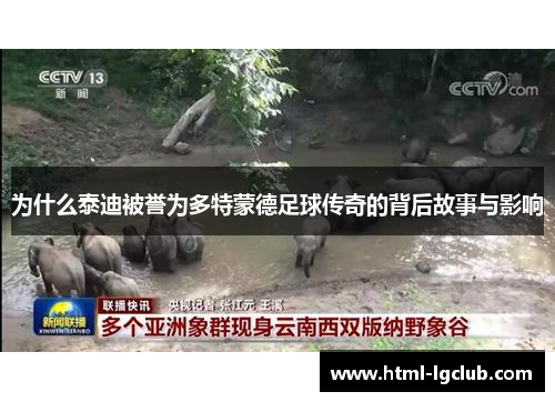 为什么泰迪被誉为多特蒙德足球传奇的背后故事与影响