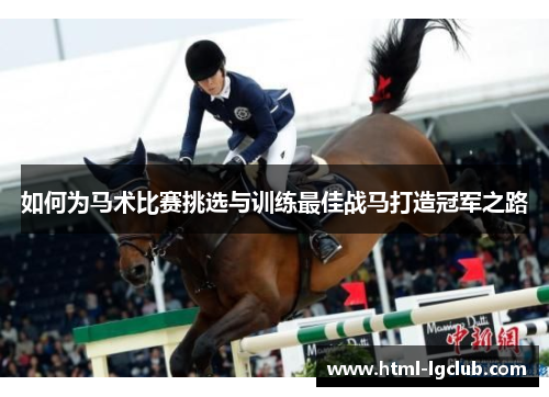 如何为马术比赛挑选与训练最佳战马打造冠军之路