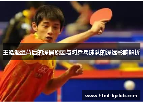 王皓退组背后的深层原因与对乒乓球队的深远影响解析